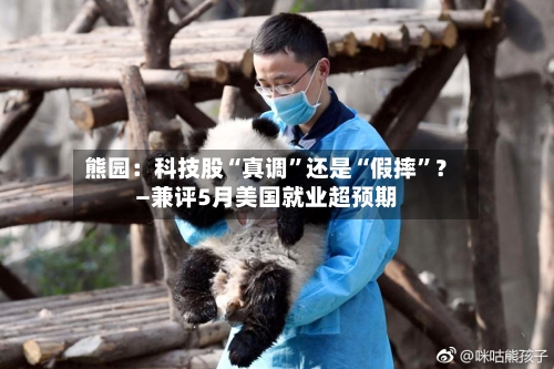 熊园：科技股“真调	”还是“假摔”？—兼评5月美国就业超预期-第3张图片