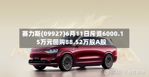 赛力斯(09927)6月11日斥资6000.15万元回购88.52万股A股