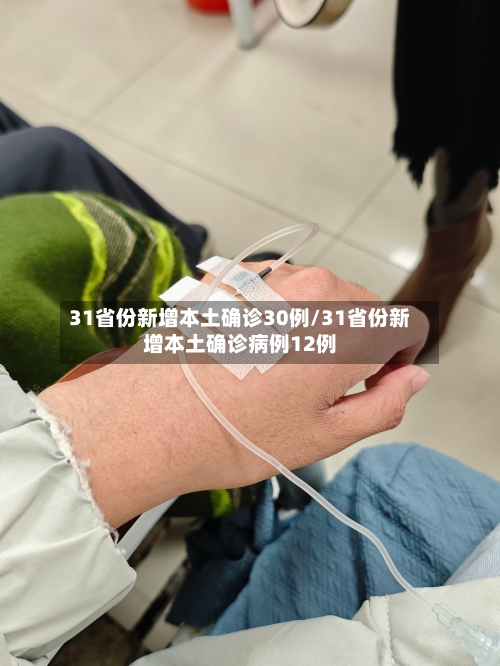 31省份新增本土确诊30例/31省份新增本土确诊病例12例-第2张图片