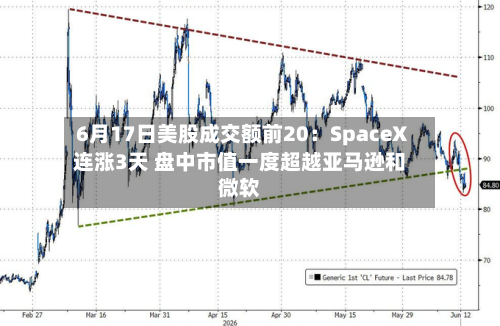 6月17日美股成交额前20：SpaceX连涨3天 盘中市值一度超越亚马逊和微软-第3张图片