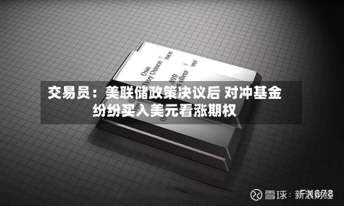 交易员：美联储政策决议后 对冲基金纷纷买入美元看涨期权
