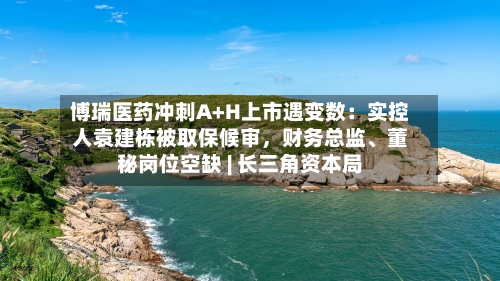 博瑞医药冲刺A+H上市遇变数：实控人袁建栋被取保候审，财务总监、董秘岗位空缺 | 长三角资本局-第3张图片
