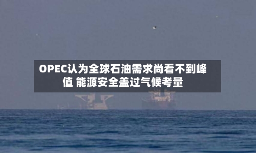 OPEC认为全球石油需求尚看不到峰值 能源安全盖过气候考量-第2张图片