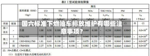 国六标准下燃油车排放维护有哪些注意事项？-第3张图片