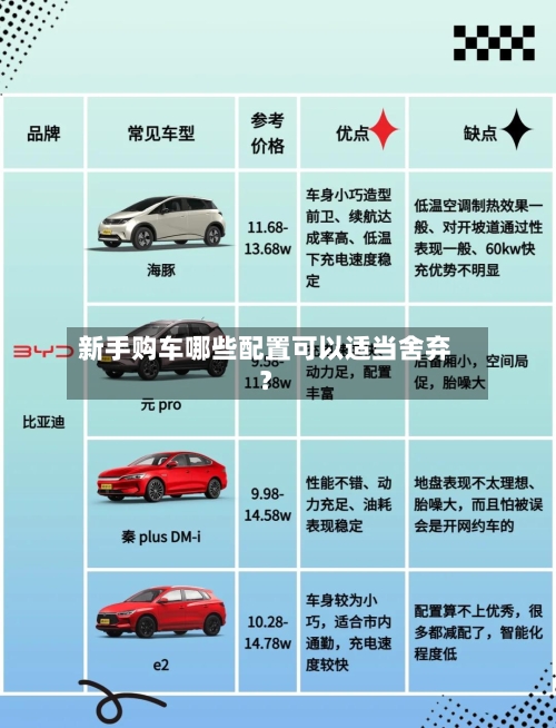 新手购车哪些配置可以适当舍弃？-第3张图片