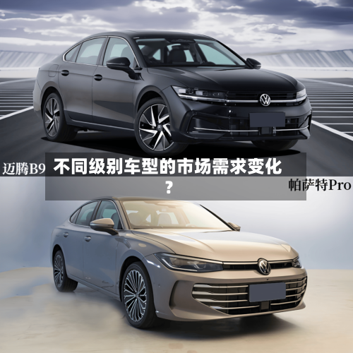 不同级别车型的市场需求变化？-第2张图片