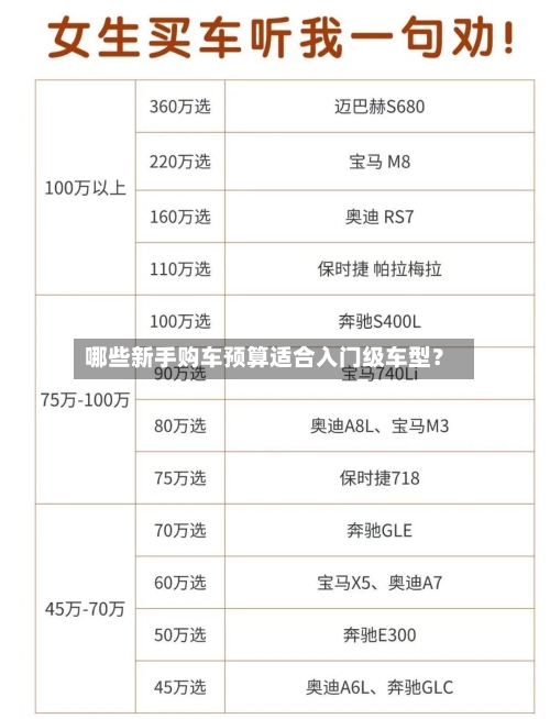 哪些新手购车预算适合入门级车型？