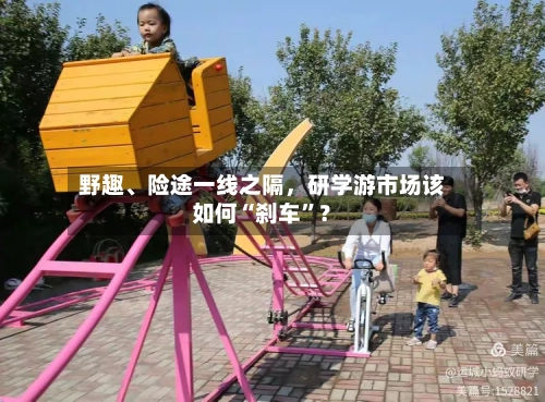 野趣、险途一线之隔，研学游市场该如何“刹车”？-第2张图片