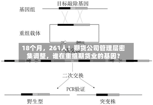 18个月	，261人！期货公司管理层密集调整，谁在重组期货业的基因？-第2张图片