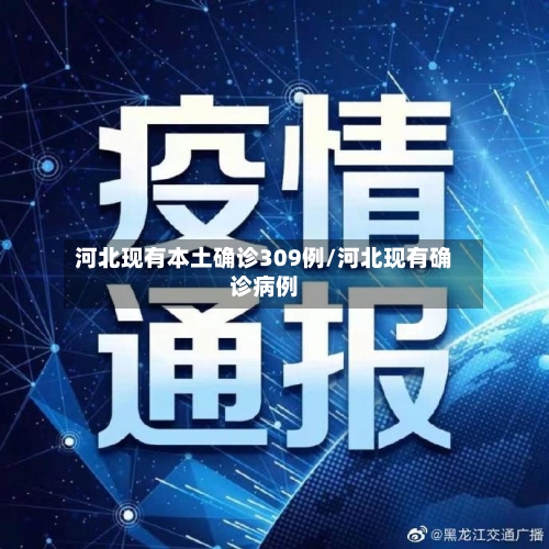 河北现有本土确诊309例/河北现有确诊病例-第2张图片