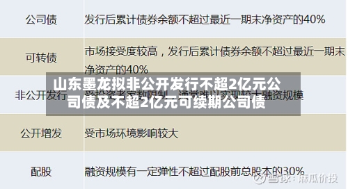 山东墨龙拟非公开发行不超2亿元公司债及不超2亿元可续期公司债