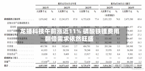 龙蟠科技午前涨近11% 磷酸铁锂费用翻倍需求依然旺盛-第3张图片