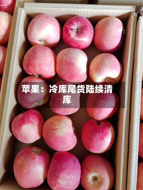 苹果：冷库尾货陆续清库