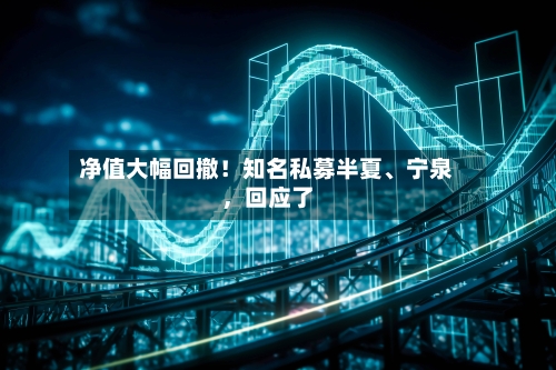净值大幅回撤！知名私募半夏、宁泉，回应了-第2张图片
