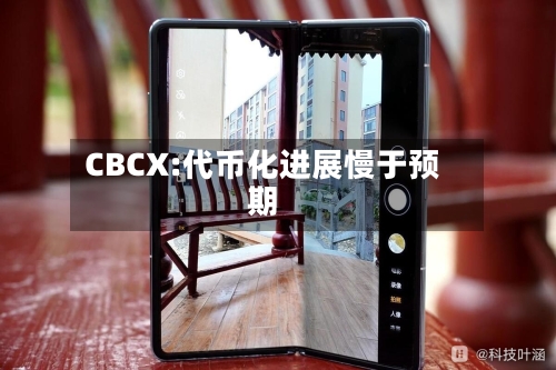 CBCX:代币化进展慢于预期-第3张图片