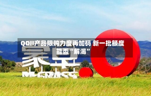 QDII产品限购力度再加码 新一批额度能否“解渴”-第3张图片