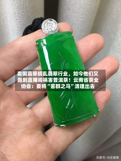 卖假翡翠搞乱翡翠行业，如今他们又跑到直播间祸害普洱茶！云南省茶业协会：要将“害群之马”清理出去-第3张图片