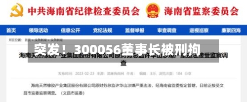 突发！300056董事长被刑拘-第2张图片