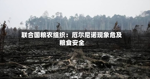 联合国粮农组织：厄尔尼诺现象危及粮食安全-第2张图片