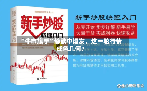 “牛市旗手”静默中爆发，这一轮行情成色几何？