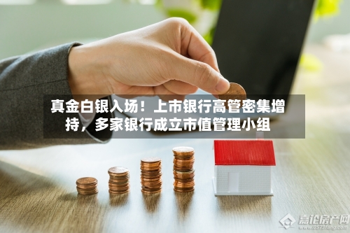真金白银入场！上市银行高管密集增持，多家银行成立市值管理小组-第3张图片