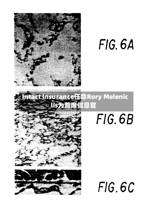 Intact Insurance任命Rory Meleniclis为首席信息官