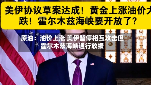 原油：油价上涨 美伊暂停相互攻击但霍尔木兹海峡通行放缓