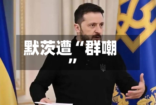 默茨遭“群嘲”-第2张图片
