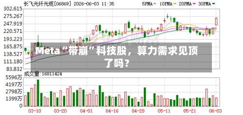 Meta“带崩”科技股,算力需求见顶了吗?