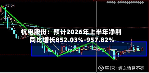 杭电股份:预计2026年上半年净利同比增长852.03%-957.82%