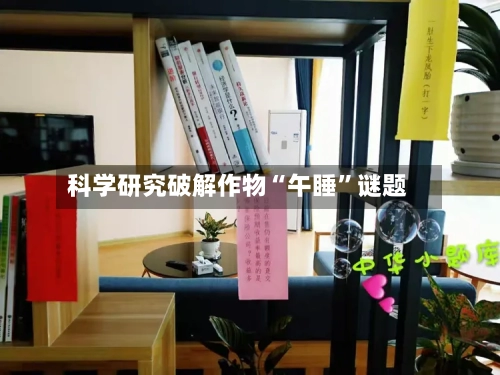 科学研究破解作物“午睡”谜题-第3张图片