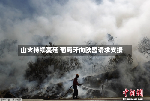 山火持续蔓延 葡萄牙向欧盟请求支援-第3张图片