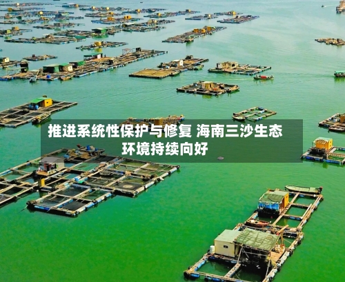 推进系统性保护与修复 海南三沙生态环境持续向好-第3张图片