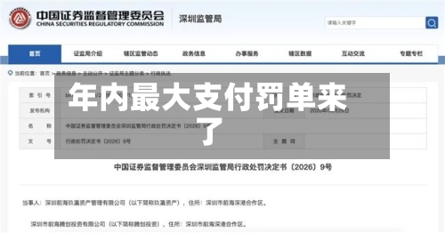 年内最大支付罚单来了-第2张图片