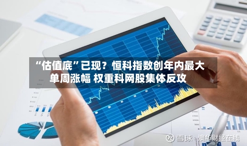 “估值底”已现？恒科指数创年内最大单周涨幅 权重科网股集体反攻-第2张图片