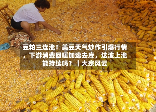 豆粕三连涨！美豆天气炒作引爆行情，下游消费回暖加速去库	，这波上涨能持续吗？｜大宗风云-第2张图片
