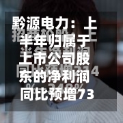 黔源电力：上半年归属于上市公司股东的净利润同比预增73.01%—100.54%