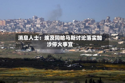 消息人士:埃及同哈马斯讨论落实加沙停火事宜