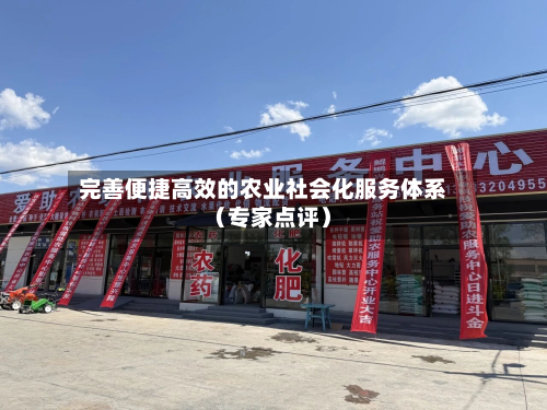 完善便捷高效的农业社会化服务体系(专家点评)